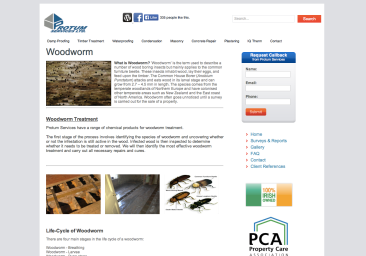 P woodworm site